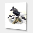 thumbnail image 3 of Designart ' Ancient Australian Birds XVI ' Traditional Canvas Wall Art Print, 3 of 4