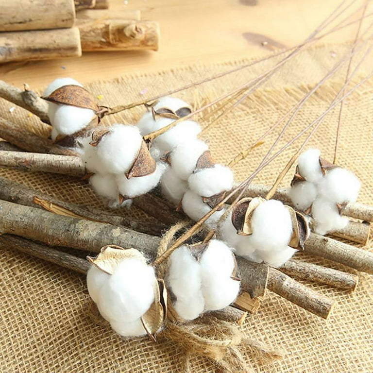 CEWOR 20Pack Really Natural White Cotton Stems Dried Flower Branch for Farmhouse