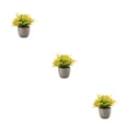 thumbnail image 2 of Decodeary Green Eco-friendly Artificial Money Tree In Pot Long-lasting Durability Realistic Appearance orange rose 3Set, 2 of 6