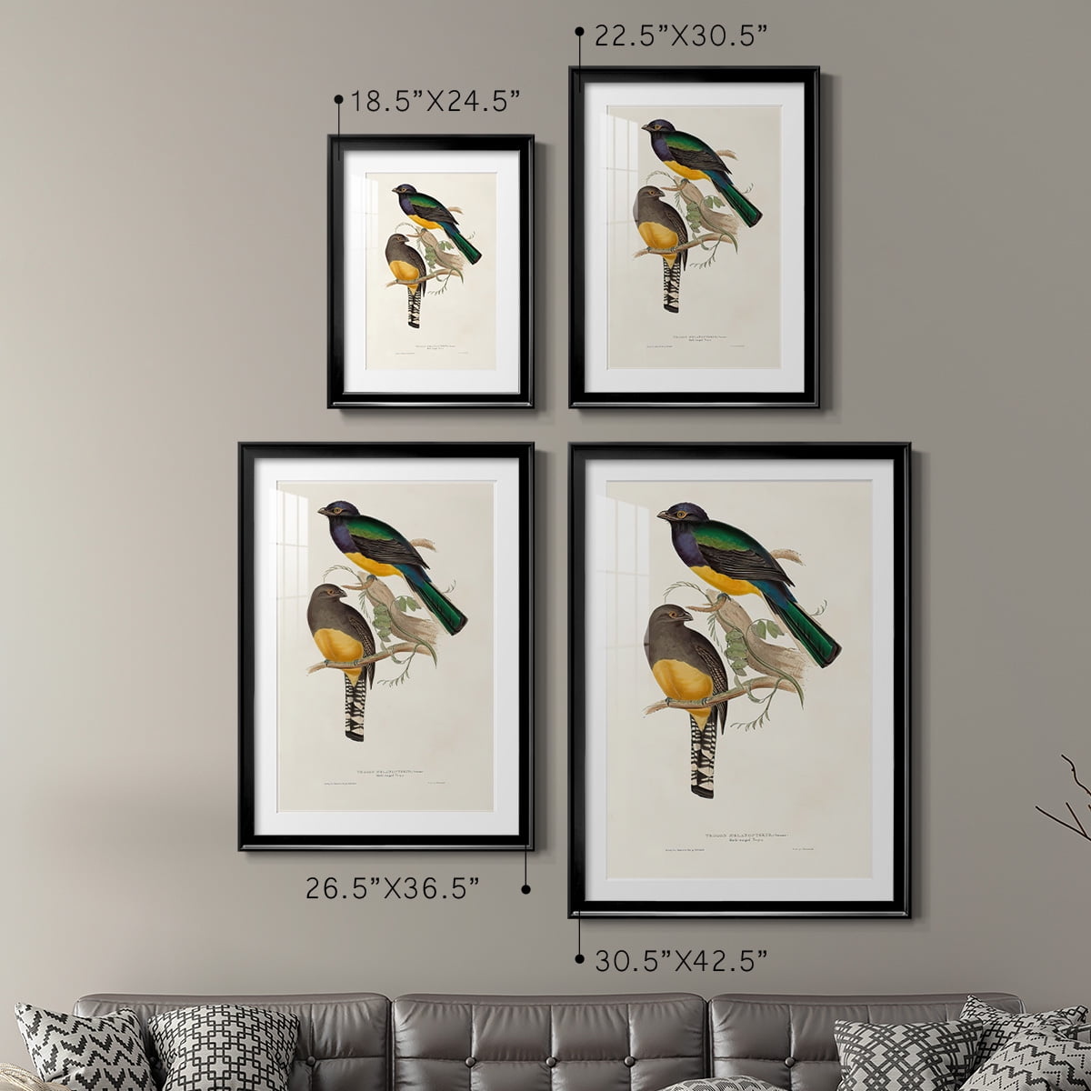 Wexford Home Elegant Trogons III Premium Framed Print, 30.5" x 42.5" - Ready to Hang, Black (Set of 2)