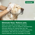 thumbnail image 5 of Advantage Dog Flea & Tick Shampoo for Puppies & Adult Dogs, Kills Fleas & Ticks, 8 oz., 5 of 6