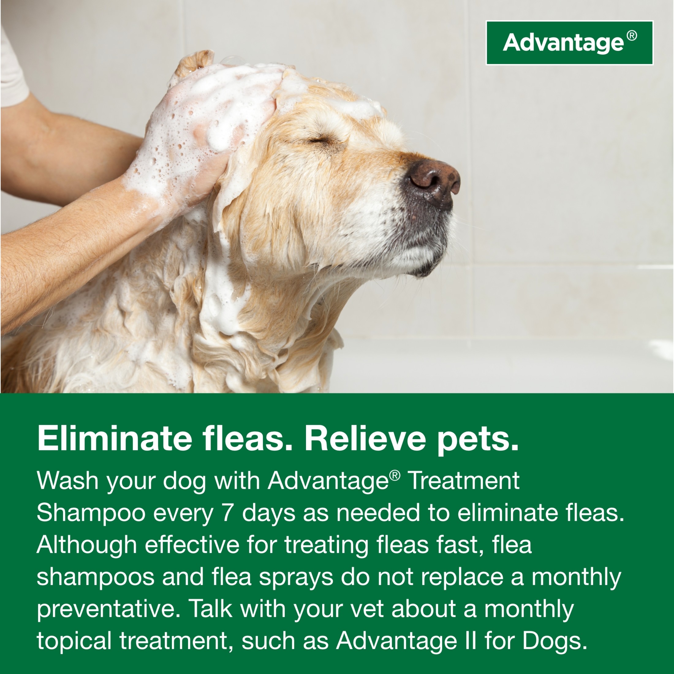 Advantage Dog Flea & Tick Shampoo 8oz photo 5