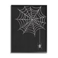 thumbnail image 1 of Stupell Industries Dangling Spider Web Insect Framed Wall Art, Design by Taylor Shannon Designs, 1 of 4