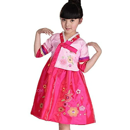 FANCYKIDS Girls Toddler Korean Hanbok Traditional Outfit Dress Costume (3 to 4 Years Old,