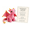 Pink Emotional Support Dragon Pocket Buddy#22, variant on Emotional Support Dragon Pocket Buddy, Hand Sewn Crochet Dragon Plush Keepsake with Uplifting Message Card, Mental Calming Office Decor, One-of-a-Kind Whimsical Present for Collectors,Black