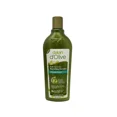 thumbnail image 1 of DALAN D'OLIVE Nourishing Shampoo 400ml Volumizing 6/Pack, 1 of 1
