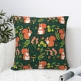 thumbnail image 4 of Pofeuu Forest Squirrel Print Double-sided plush pillowcase Square Throw Pillow Covers Pillows Cover for Living Room Bedroom Sofa Couch Cushion Cover（No pillow core）-20"x20", 4 of 7