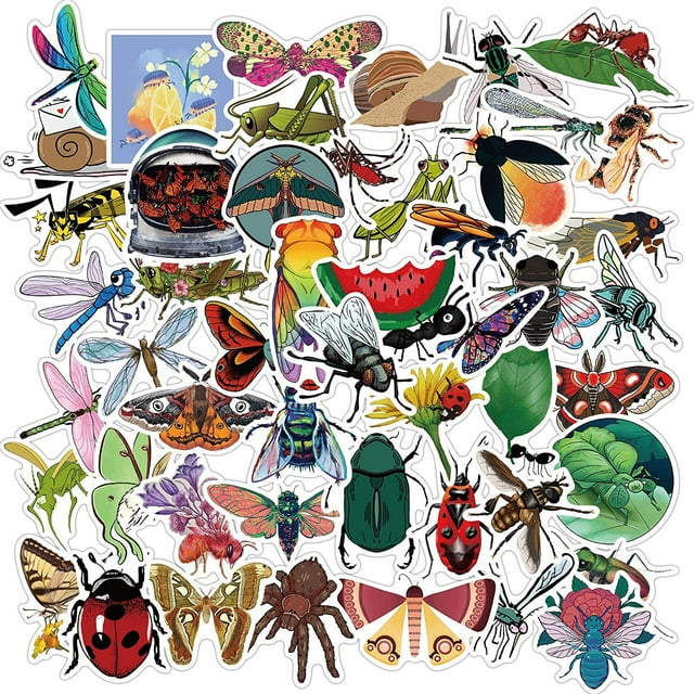 50 Pcs Autocollants Insectes Naturels Bouteille d'Eau Hydroflask Planche à Roulettes Ordinateur Portable Imperméable Butterfly Bee Beetle Dragonfly Autocollant Vinyle Pack pour Enfants Adolescents Garçons Filles