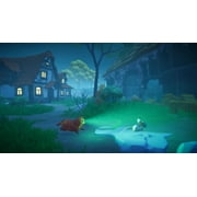 Everdream Valley, Nintendo Switch