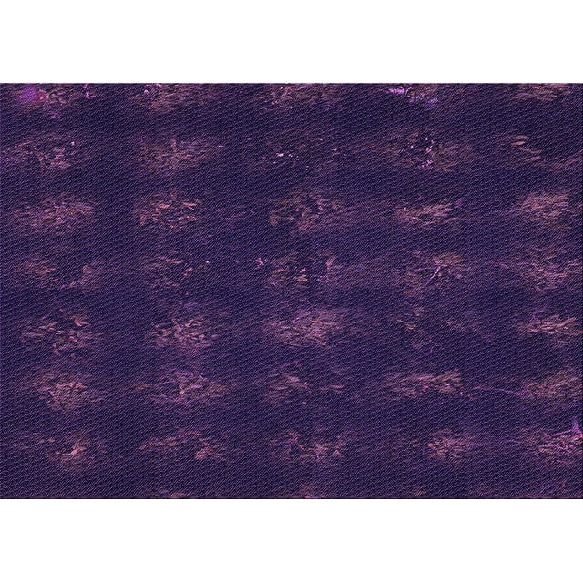 Ahgly Tapis Rectangulaire Lavable en Machine Intérieur Transitionnel Violet Profond, 5 Pieds x 8 Pieds