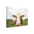 thumbnail image 2 of Trademark Fine Art 'Close Up I v2 no Cows Crop' Canvas Art by Aledanda, 2 of 3