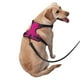 thumbnail image 2 of Fotbe Darkmagenta Arnés para Perro con Estampado –Chaleco Ajustable Acolchado con Asa de Control para Perros Grandes-Large, 2 of 6
