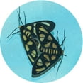thumbnail image 1 of Ahgly Company Machine Washable Indoor Square Transitional Deep-Sea Green Area Rugs, 3' Square, 1 of 7