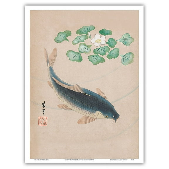 Carp with Water Flowers - Vintage Japanese Woodblock Print by Shisui 1900's - Master Art Print (Unframed) 9in x 12in