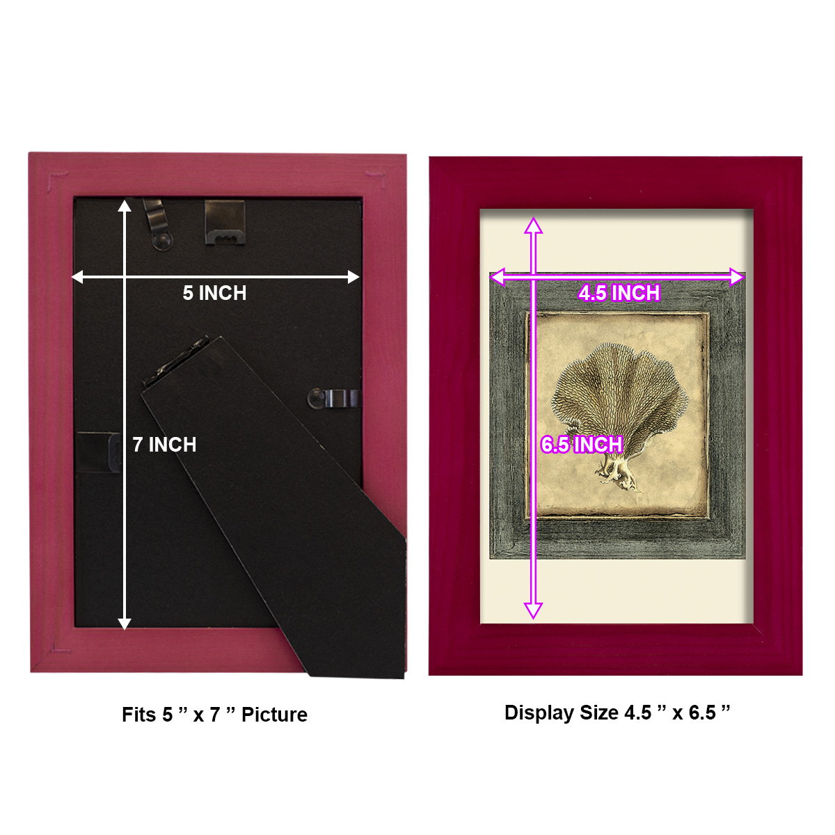 Mini Exotic Coral VI (U) - Framed Print w/glass - Cherry Red
