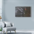 thumbnail image 3 of Trademark Fine Art 'Black Swan In Water' Canvas Art by Michael Jackson, 3 of 3