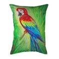 thumbnail image 1 of Betsydrake NC033 Parrot Noncorded Pillow - Large, 1 of 1