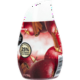 thumbnail image 3 of Renuzit Gel Air Freshener, Blissful Apple & Cinnamon, 7.0 Ounce, 3 of 8