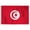 2x3 ft Nylon Flag, variant on AGAS Tunisia Flag 3x5 ft 200D Nylon Fabric Double Stitched Canvas Header Brass Grommets Fade Resistant & Vivid Colors Can be Hung on Flagpole Outside or Indoors on a Wall