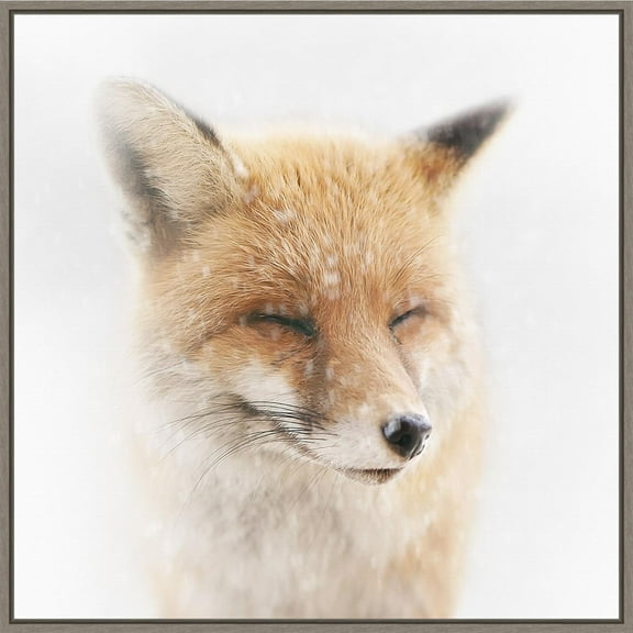 Amanti Art Satisfied Fox Framed Canvas Wall Art Print