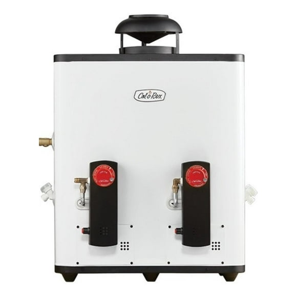 Boiler Calentador De Paso Coxdp-20 Std 20l Gas Lp Calorex