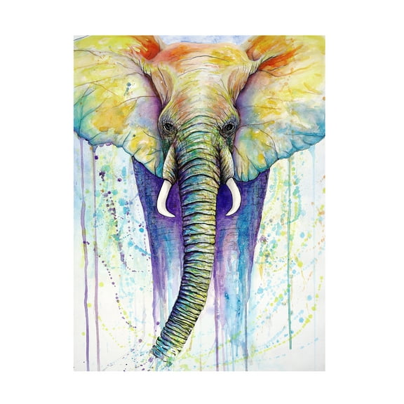 Trademark Fine Art Michelle Faber Elephant Colors Canvas Wall Art - 24x32