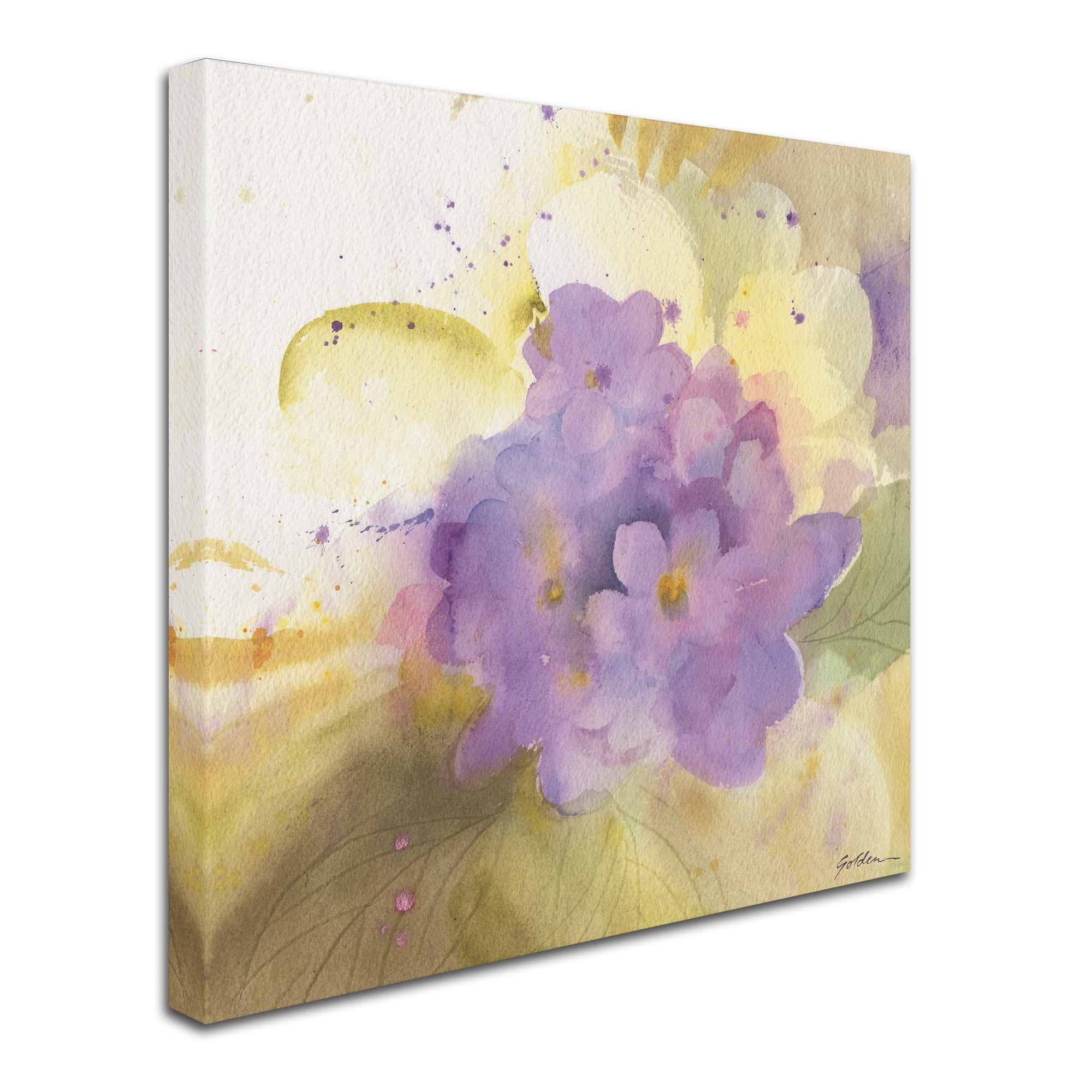 Trademark Fine Art 'Violets' Canvas Art by Sheila Golden