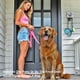 thumbnail image 3 of Dispensador de bolsas para excrementos de perro Onybte, soporte de pared con ganchos, 2 rollos, 3 of 6