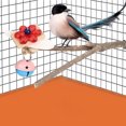 thumbnail image 3 of Stand Pole Standing Frame Fork Perch Wood Fork Stand Perch, Bird Perch, Animals Birds For Pets Parrots Cuttlebone, 3 of 8