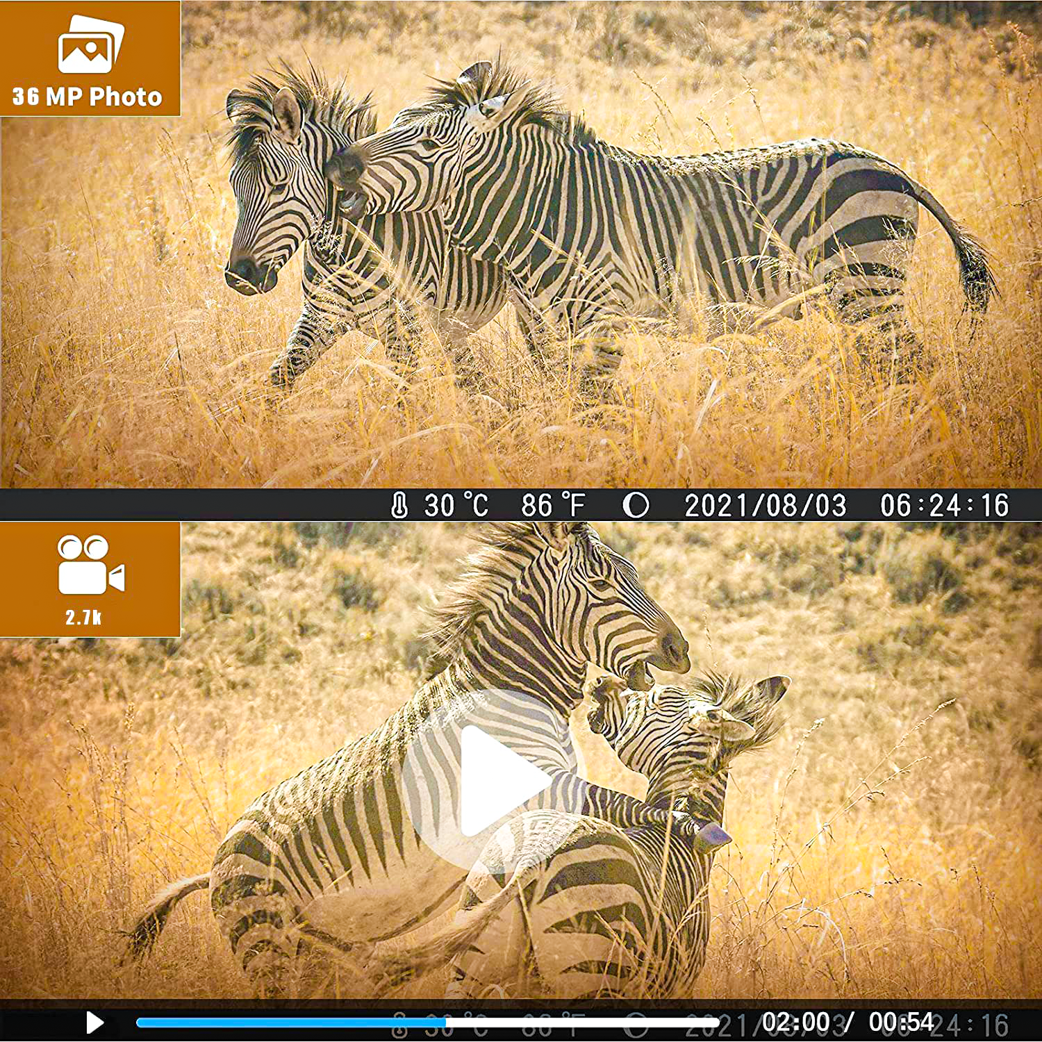 SuntekCam Basic Hunting Trail Camera 36MP 4K with 32GB SD Card IP65 Wildlife Trail Trap Monitor