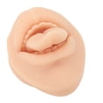 thumbnail image 4 of Modelo de boca de lengua de silicona 3d Modelo de boca de lengua de silicona suave Modelo de práctica de perforación de lengua de silicona Modelo de boca de lengua Modelo de ANGGREK Otros, 4 of 7