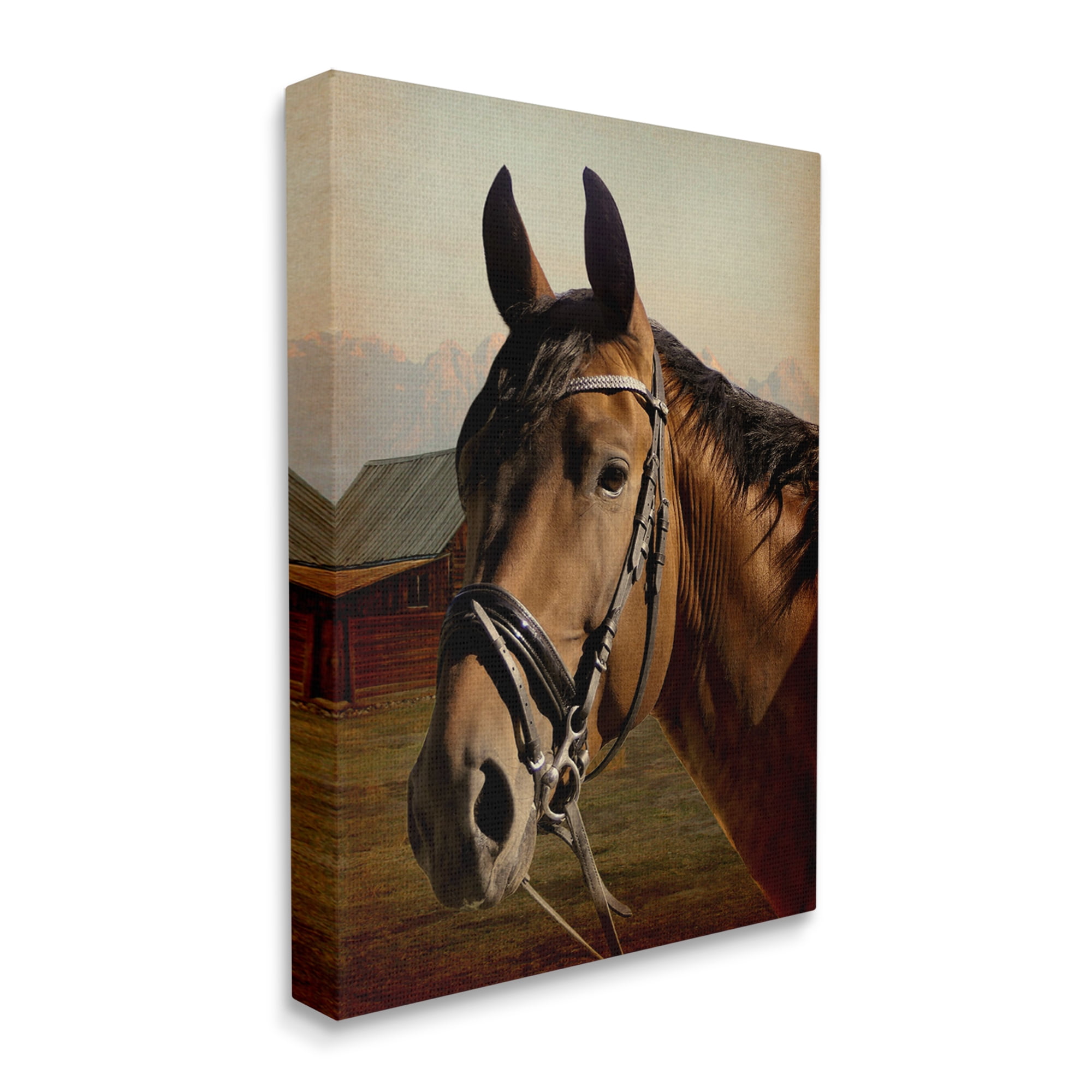 Stupell Industries Brown Horse Portrait Animals & Insects Photography Gallery Wrapped Canvas Art Print Wall Art, 30 x 40