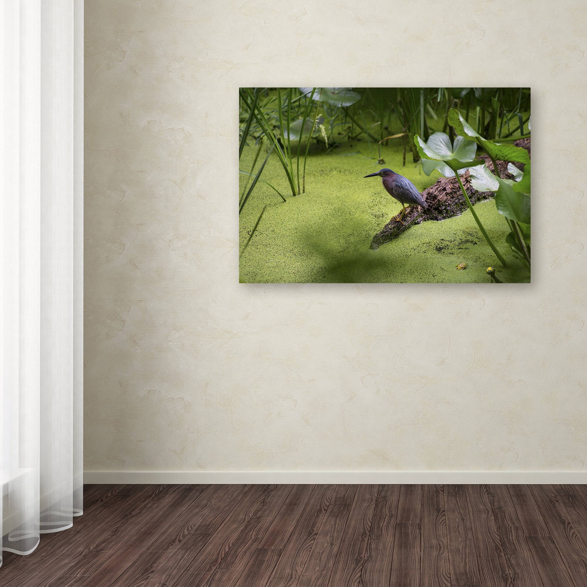 Trademark Fine Art "Green Heron" Canvas Art by Kurt Shaffer