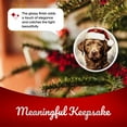 thumbnail image 4 of Chesapeake Bay Retriever Dog Ornament - Pet Ornament for Christmas Tree - 3" Round Ceramic - Printed in USA - Puppy New Dog - Dog Mom - Dog Dad - Pet Owner - Xmas Decoration DOG059, 4 of 5