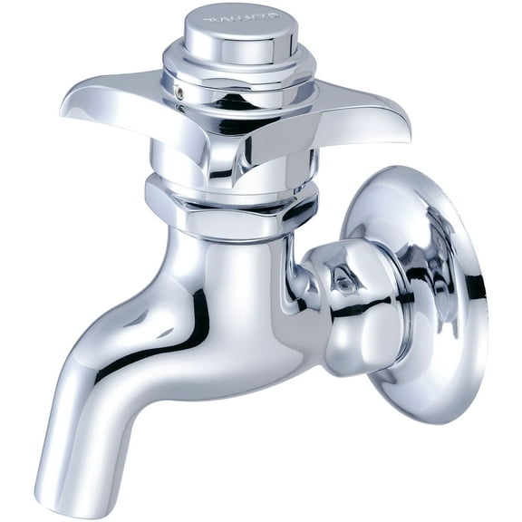 Central Brass 0033-1/2PV-02 Single Handle Self-Close Wall Mounted Bathroom Faucet - Chrome