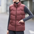 thumbnail image 6 of Xdegoge Plus Size Puffer Vest Women Cropped Lightweight Sleeveless Zip Up Quilted Jackets Packable Warm Winter Coats with Pockets Stand Collar Thermal Padded Coat Outerwear, 6 of 8
