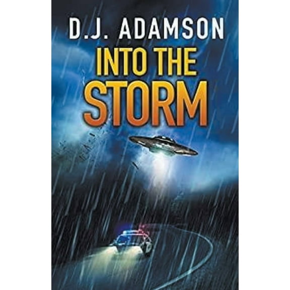 Into The Storm, (Paperback)