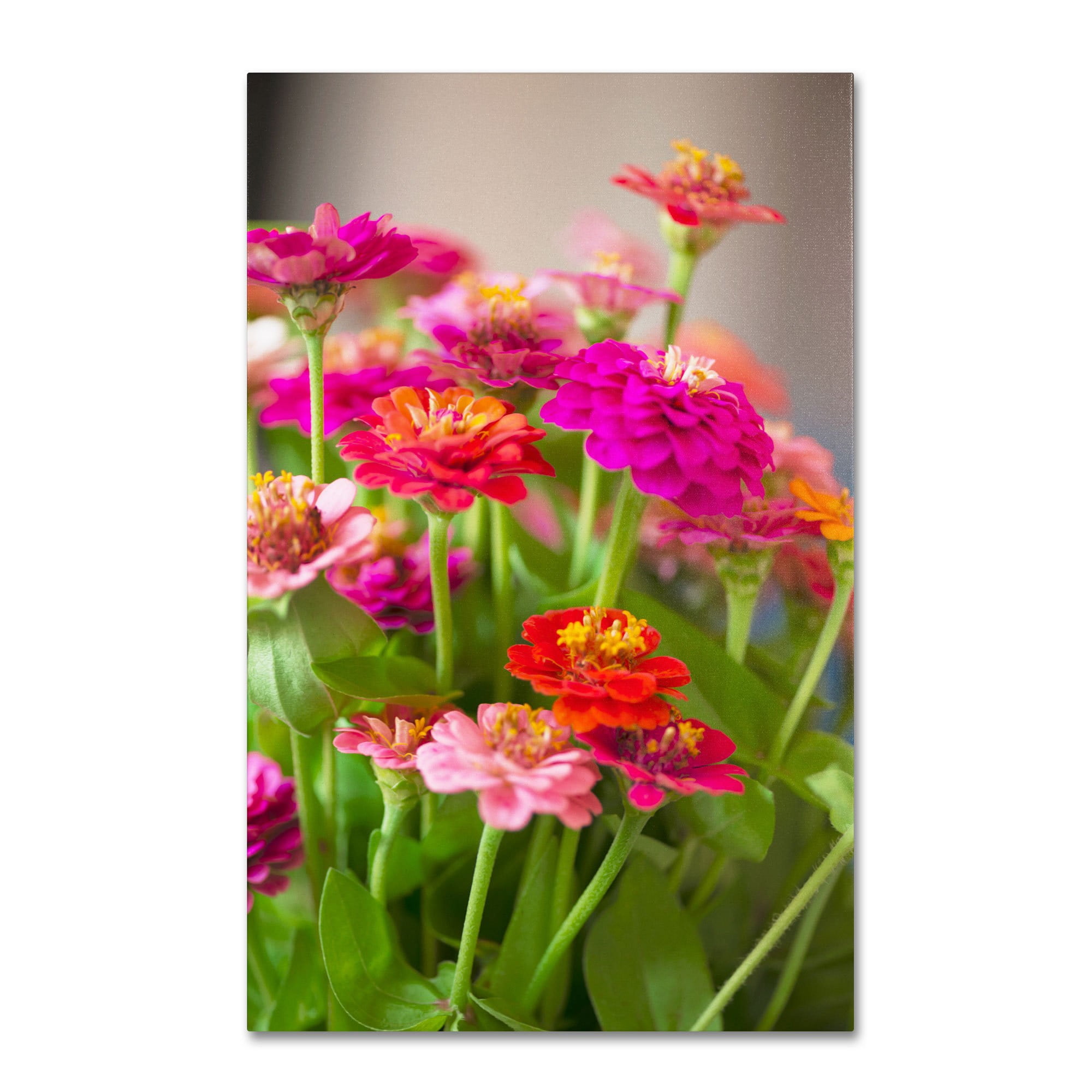 Trademark Fine Art "Meaning of Love" Canvas Art by Philippe Sainte-Laudy