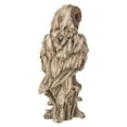 thumbnail image 4 of Hi-Line Gifts 13" Barn Owl Standing on Stump Garden Statue, 4 of 5