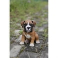 thumbnail image 2 of Hi-Line Gift Ltd Boxer Puppy Statue, 2 of 2