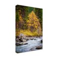 thumbnail image 2 of Michael Broom 'Autumn Across The River' Canvas Art, 2 of 3
