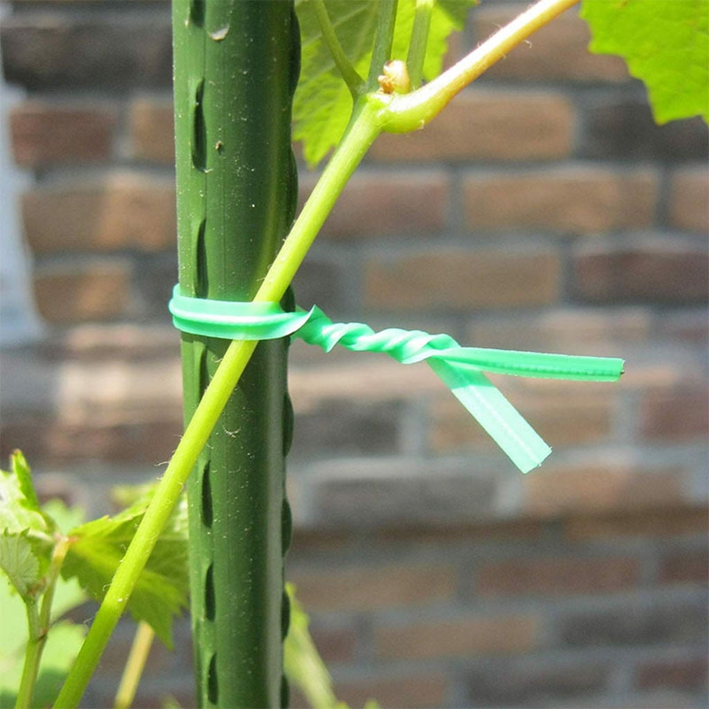 FNGZ Rattan Clip Twist Tie Cable Ties UV Weather Resistant Nylon Resistant Wrap Zip Ties Pack Black 101 Pcs Green