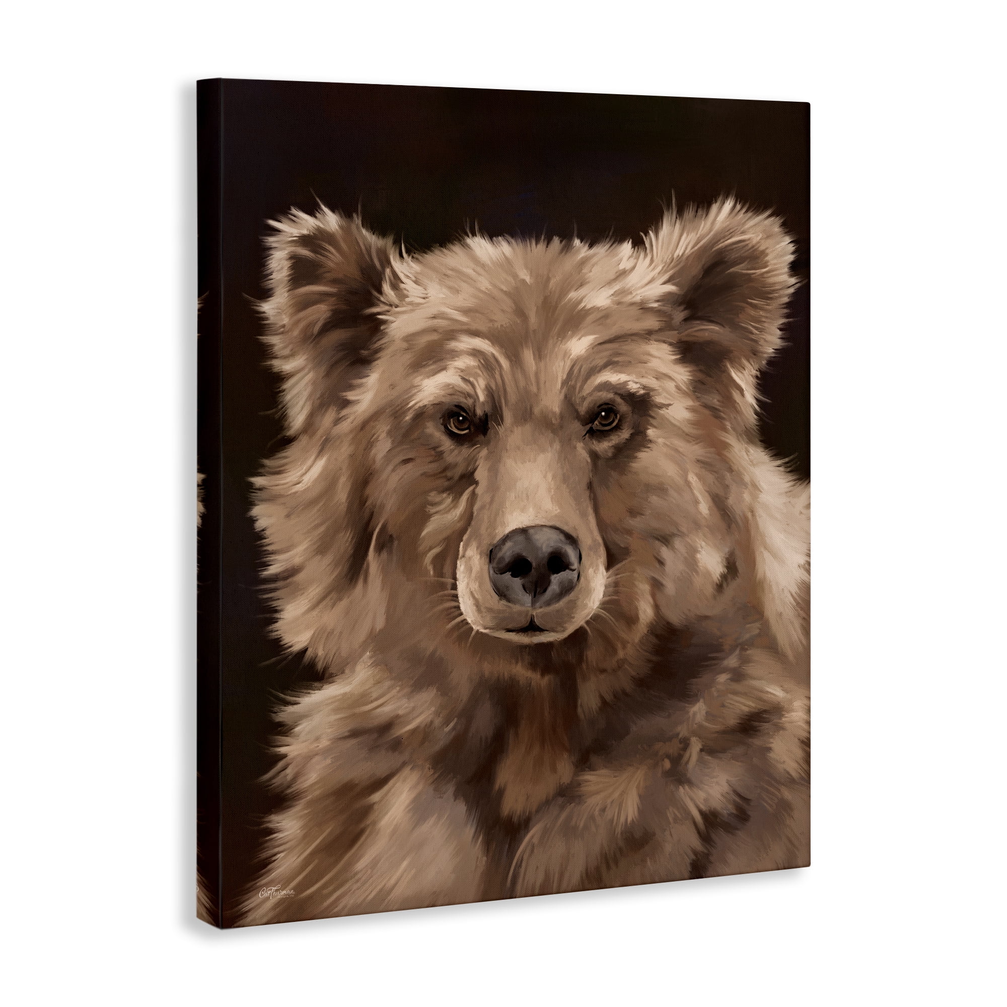 Stupell Industries Fluffy Bear Cub Animals Painting Wrapped Canvas Art Print Wall Art, 16 x 20