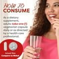 thumbnail image 3 of Best Naturals  Serrapeptase  40000 SPUs  90 Vegetarian Capsules, 3 of 7