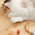thumbnail image 4 of Cat Feather Ball Toys, Interactive Cat Toys For Indoor Cats, Bouncy Elastic Ball With Catnip, Cat Chew And Exercise Toy, Soccer Ball Shape Cat Toys, 4 of 6