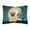 Pug - Brown, variant on Carolines Treasures BB2195PW1216 Halloween Scary Pug Brown Canvas Fabric Decorative Pillow, 12H x16W, multicolor