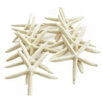 Set of 50 White Pencil (Finger) Starfish 4-5" Beach Wedding Nautical Decor Crafts