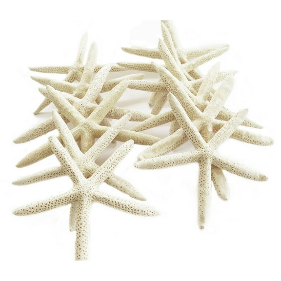 Set of 50 White Pencil (Finger) Starfish 4-5" Beach Wedding Nautical Decor Crafts