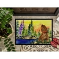 thumbnail image 3 of American Water Spaniel Door Mat Doormat, 3 of 4