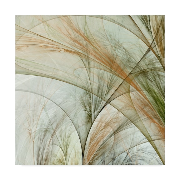James Burghardt 'Fractal Grass Iii' Canvas Art